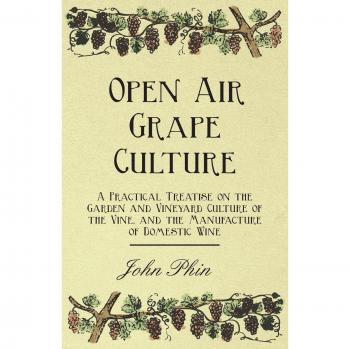 Open Air Grape Culture