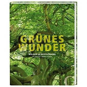 Grünes Wunder: Wälder in Deutschland