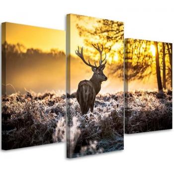 Deer Forest Sunset Wall Art Triptych 60x40