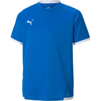 Puma teamLIGA Trikot Kids Blau F02 164
