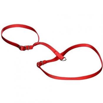 Zolux Harnais Cat 10 mm – Bleu