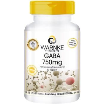GABA 750 mg Stressbewältigung Kapseln