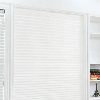 Bathroom Balcony Pleated Blinds