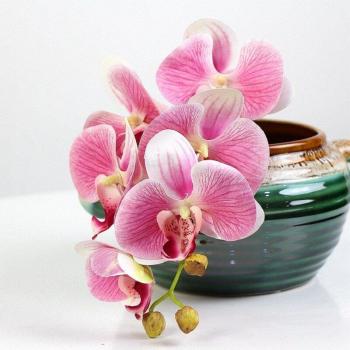 Fleurs en plastique : bouquet d'orchidées papillon (6 têtes)