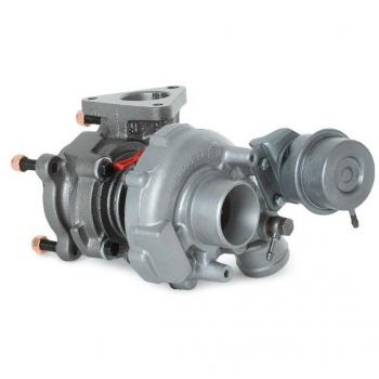 Remanufactured Turbo RIDEX 2234C10675R