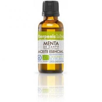 Bio-Minzöl Mint Fields 30 ml