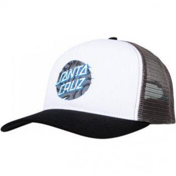 Scoprire Santa Cruz Vivid Slick Dot Meshback