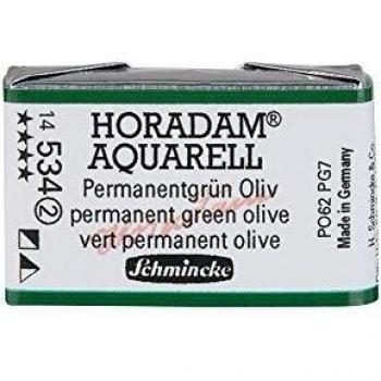 Schmincke Horadam Finest Artists' Watercolour 534 Permanent Green Olive