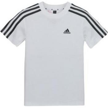 Camiseta adidas LK 3S CO Blanca Infantil