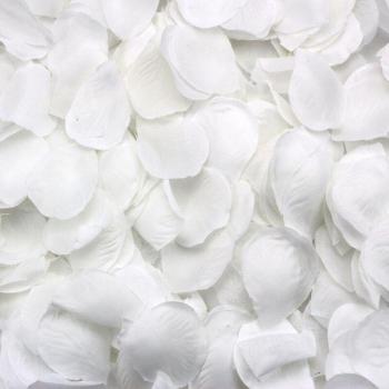 Éventail Floral Blanc