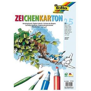 Folia A3 120g Cartone 25x