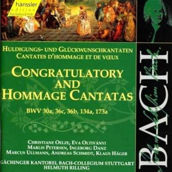 Congratulatory And Hommage Cantatas