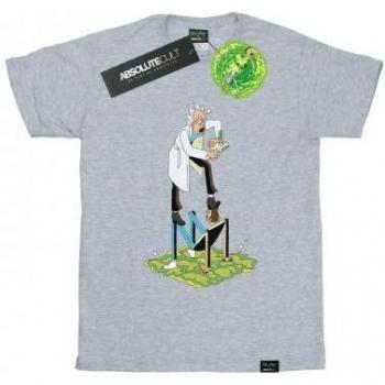 Rick And Morty Ladies Cotton Boyfriend T-Shirt L Grey