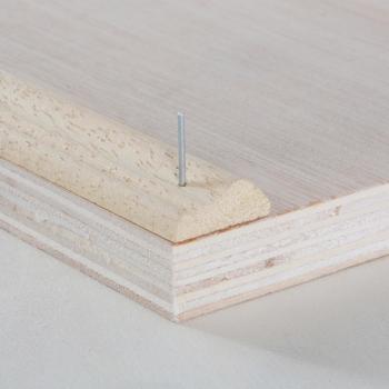 Dexter Chiodino L 10 mm x 1,6 cm – 1.000 unità