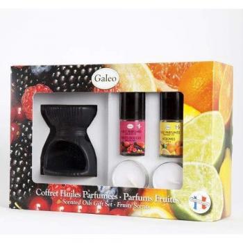Élégance Brûle-Parfum Fruits & Agrumes