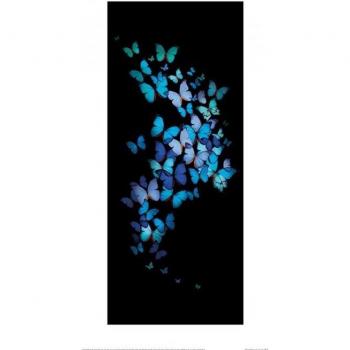 Affiche Papillons Morphos 30 cm (Bleu/Noir) – Summer Thornton