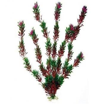 Plante pour aquarium effet naturel bicolore