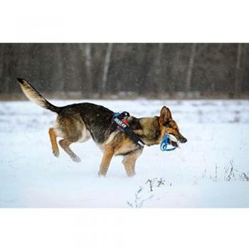 Julius K9 French Cloth Tug Toy