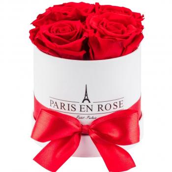 PARIS EN ROSE Mini-Rosenbox | 3 rosa Infinity Rosen | kleine runde Box | 1 Jahr haltbar | süße Grußkarte