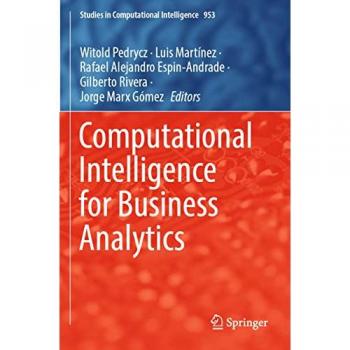 Computational Intelligence for Business Analytics