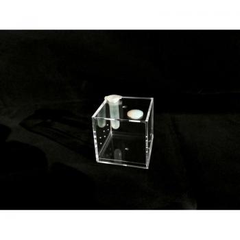 Insect Spider Active Area Box 85X85X85mm