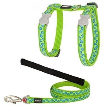 Red Dingo Collare Gatto Rossa con Cinghie Stellate in Turchese