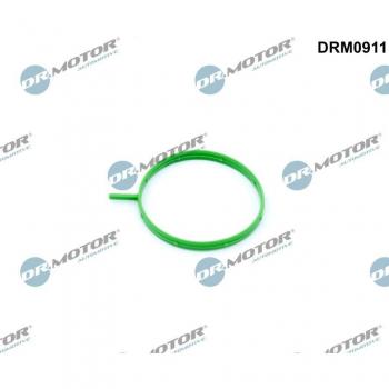 Valvola AGR Condotto Guarnizione DRM0911 DR.MOTOR AUTOMOTIVE