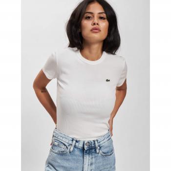Lacoste T-SHIRT COSTINA DONNA Slim Fit in Cotone Bianco, Taglia M