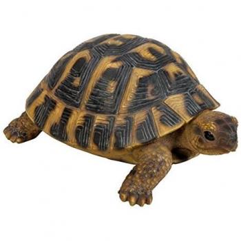 Vivid Arts XRL-HERM-B Tortoise Resin Sculpture