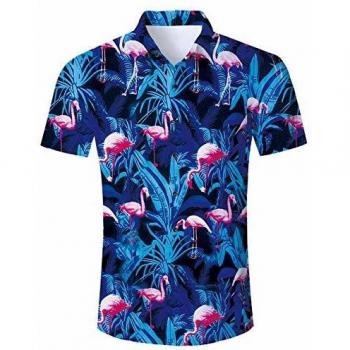RAISEVERN Men's Casual Hawaiian Shirt and Shorts Set, Leaf Print, Flamingo, XL