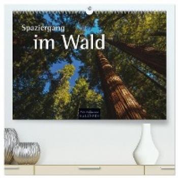 Spaziergang im Wald (hochwertiger Premium Wandkalender 2024 DIN A2 quer) Kunstdruck in Hochglanz