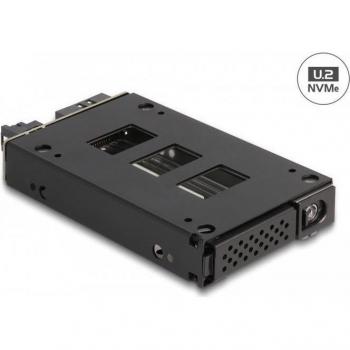 Delock Slim Bay Wechselrahmen für mobiles Speicher-Rack