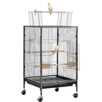 Casters Wrought Iron Open Top Bird Flight Cage