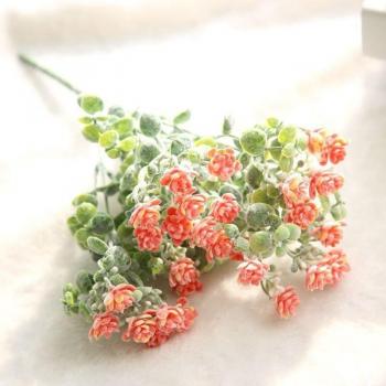 Newborn Mini Succulent Flower Photo Props
