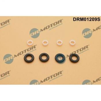DRM01209S Iniettore Kit Riparazione Automotiva
