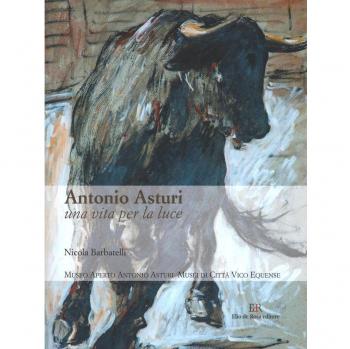 Antonio Asturi. Una vita per la luce. Catalogo delle opere. Ediz. illustrata