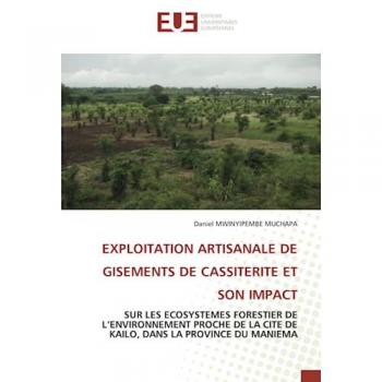 Mwinyipembe Muchapa, Daniel: EXPLOITATION ARTISANALE DE GISEMENTS DE CASSITERITE ET SON IMPACT