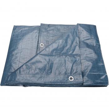 Plachta PE 100g/m2 2x3m EXTOL 16121