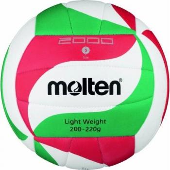 Molten Elite Volleyball