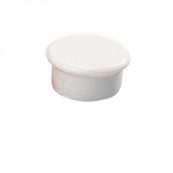 Dahle 10-pack Magneter 13 mm Vit
