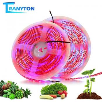 5050 LED Grow Light Strip 5M Red Blue for Hydroponics