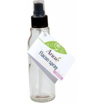 Clear Empty Sprayer 100 mL