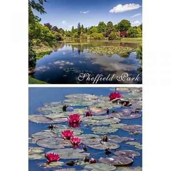 CALVENDO Sheffield Park & Garten – Hochwertige Gartenpflanze