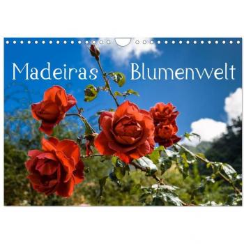 Madeiras Blumenwelt (Wandkalender 2024 DIN A4 quer) CALVENDO Monatskalender