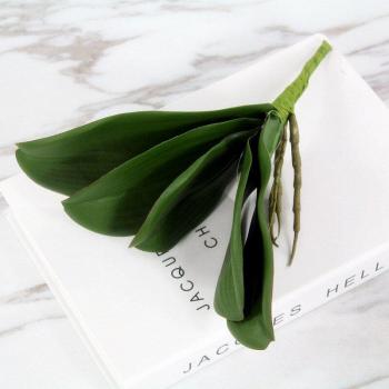 Planta de Orquídeas Phalaenopsis 3D para Decorar