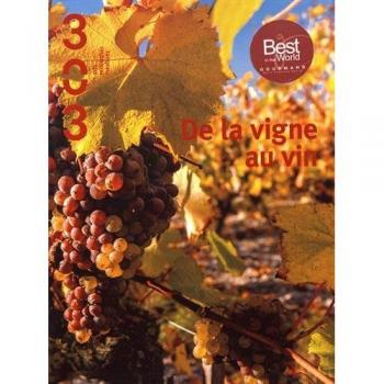 De la vigne au vin