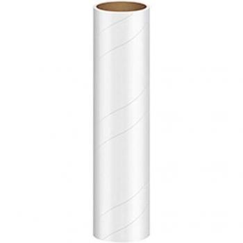 Collecteur de poussière à manche extensible