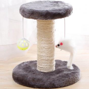 Cat Gym