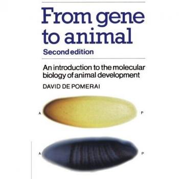 From gene to animal
