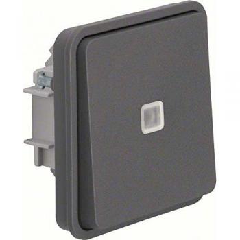 Berker Taster 50463525 lichtgrau W.1